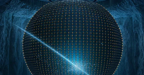 Neutrino Observatories