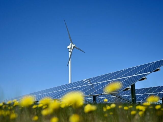 european-citizens-want-more-renewable-energy-to-alleviate-environment-and-affordability-worries
