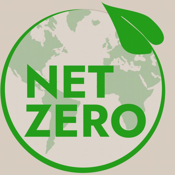The Net-Zero Blueprint: Where Neutrinos Fit in National Decarbonization Plans