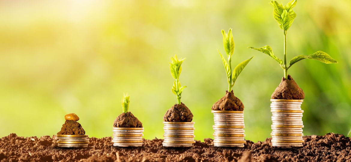 دور الطاقة غير المرئية في دعم التغيير المرئي في الاقتصادات النامية