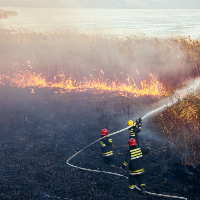 Europe Is Burning: The Urgent Case for Independent Energy Sources