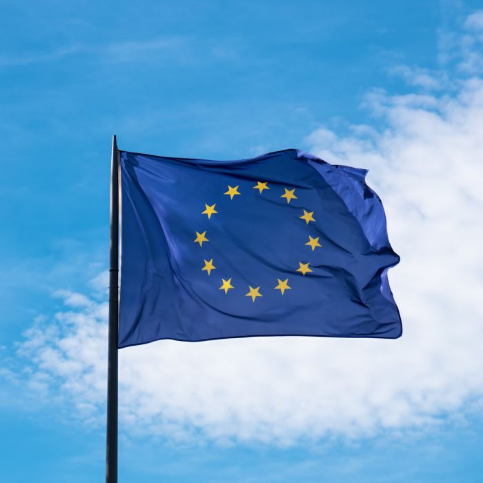 Europe’s Power Dilemma: Navigating Global Dependence Toward a Neutrinovoltaic Era