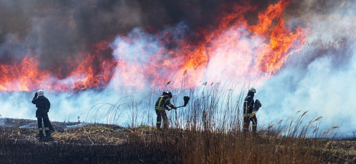 spains-wildfire-emergency-shows-why-energy-independence-is-no-longer-optional