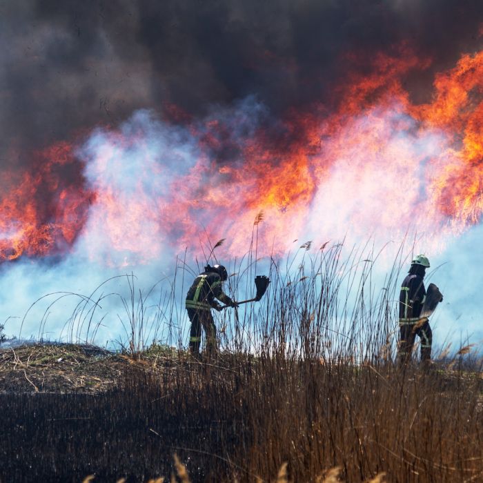 Spain’s Wildfire Emergency Shows Why Energy Independence is No Longer Optional