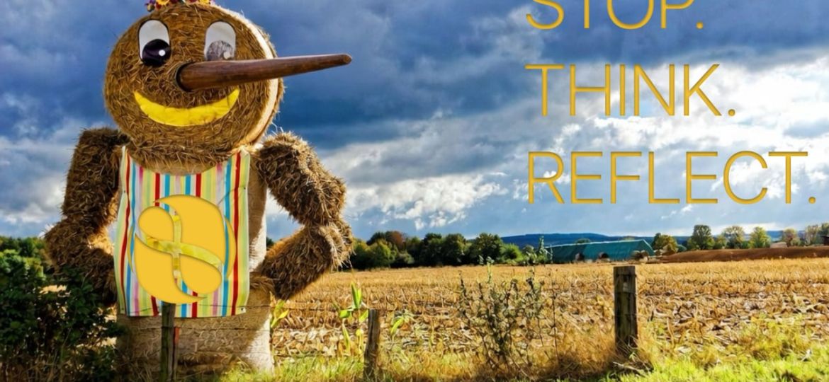 wenn-kritik-daneben-zielt-strohmann-argumente-in-der-energiedebatte