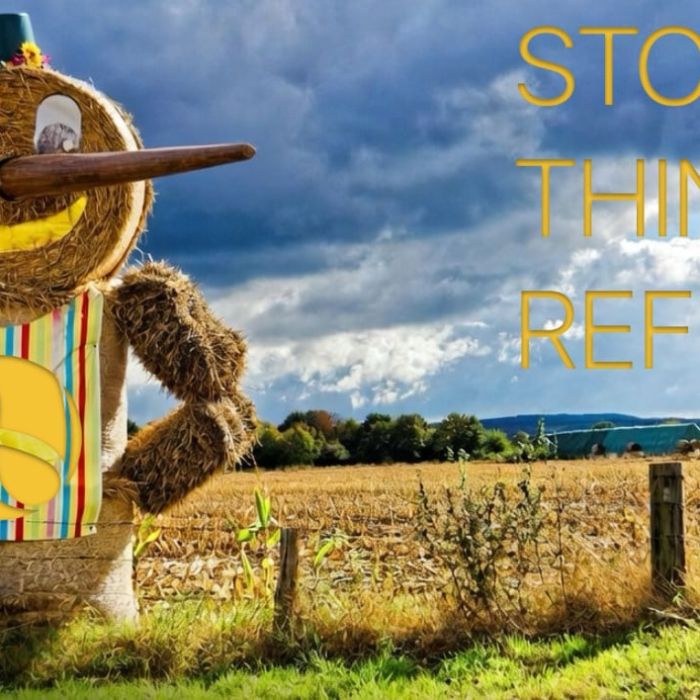 Wenn Kritik daneben zielt: Strohmann-Argumente in der Energiedebatte