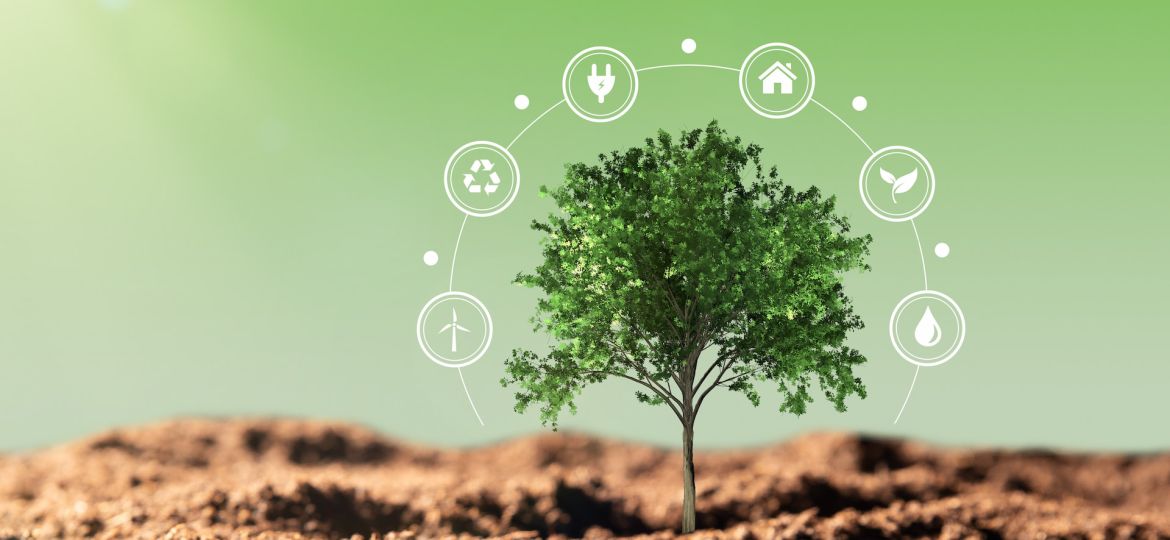 energy-as-a-right-not-a-resource-the-moral-case-for-neutrinovoltaic-technology