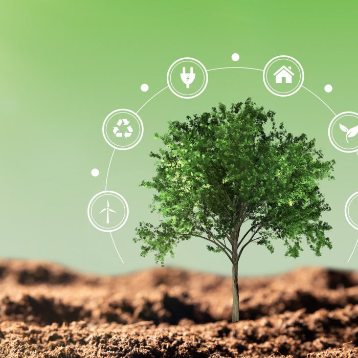 Energy as a Right, Not a Resource: The Moral Case for Neutrinovoltaic Technology