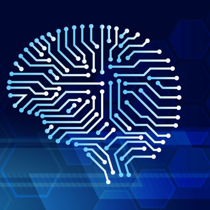 Rethinking Intelligence: A Conversation with Holger Thorsten Schubart