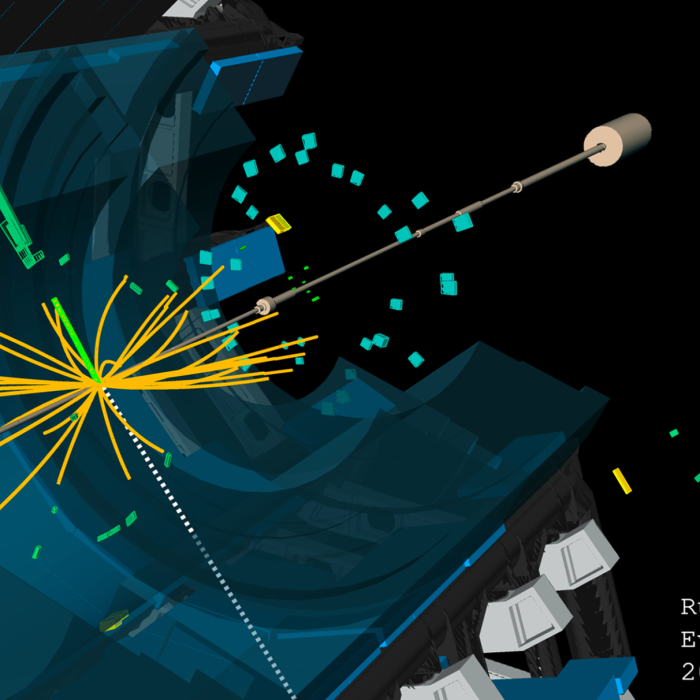 ATLAS records vital low-intensity data during special LHC run