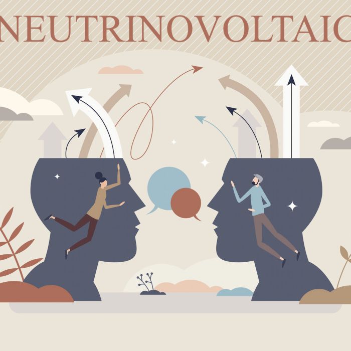 Neutrinovoltaic? What Happens When You Actually Test the Arguments Instead of Repeating Them