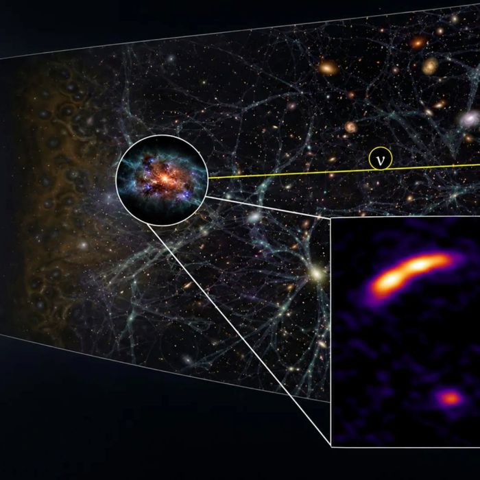 Scientists expected a black hole but found a neutrino factory powered by stars